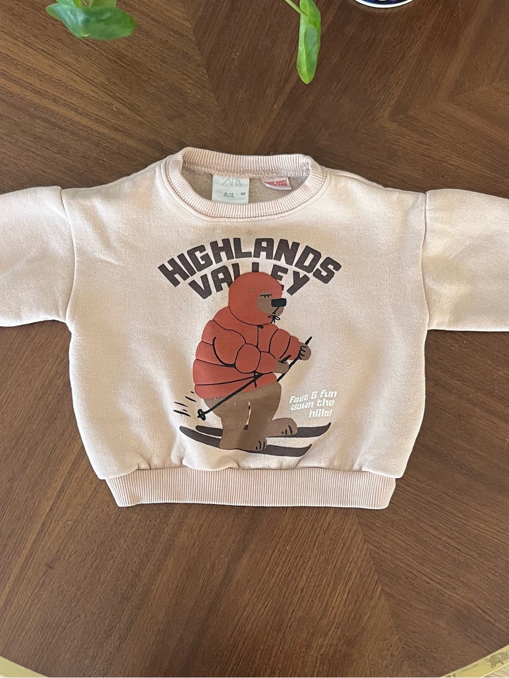 Zara Kids Pink Highlands Valley Graphic Sweatshirt